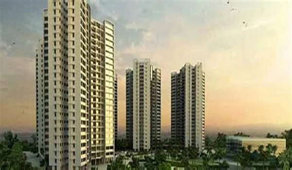 Purva Weaves Launch Price